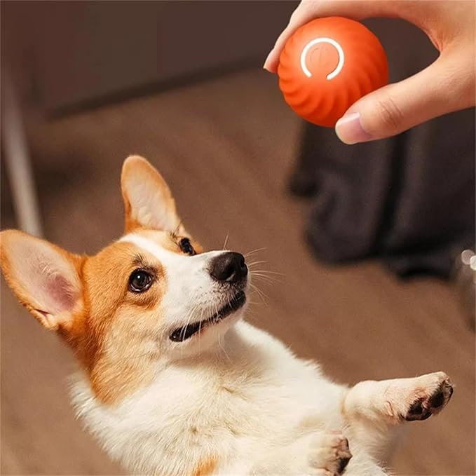 BowLift | Interactive Rechargeable Jumping Ball Toy for Dogs