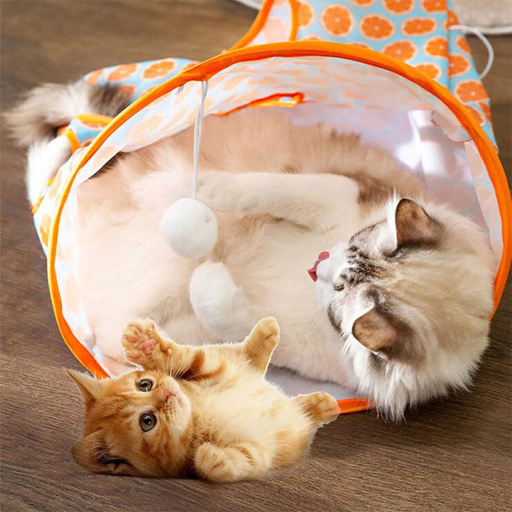 BowLift | Cat Tunnel Bag