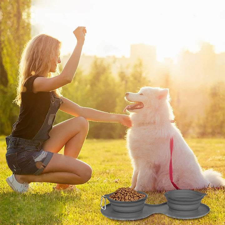 BowLift | Travel Dog Dinner Set