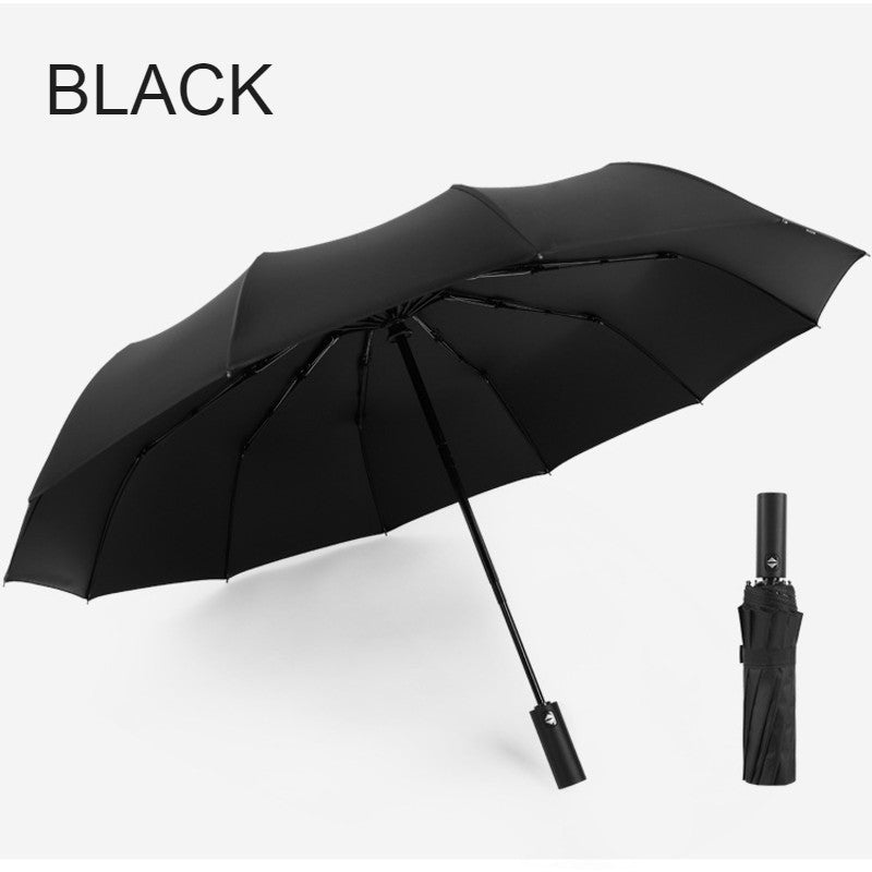 BowLift | 12-Rib Rain/UV Folding Umbrella, with Auto Open Close & Windproof Canopy, for Travel, Commute & More
