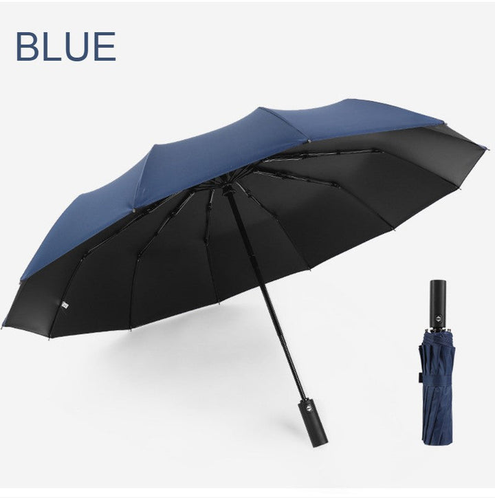 BowLift | 12-Rib Rain/UV Folding Umbrella, with Auto Open Close & Windproof Canopy, for Travel, Commute & More