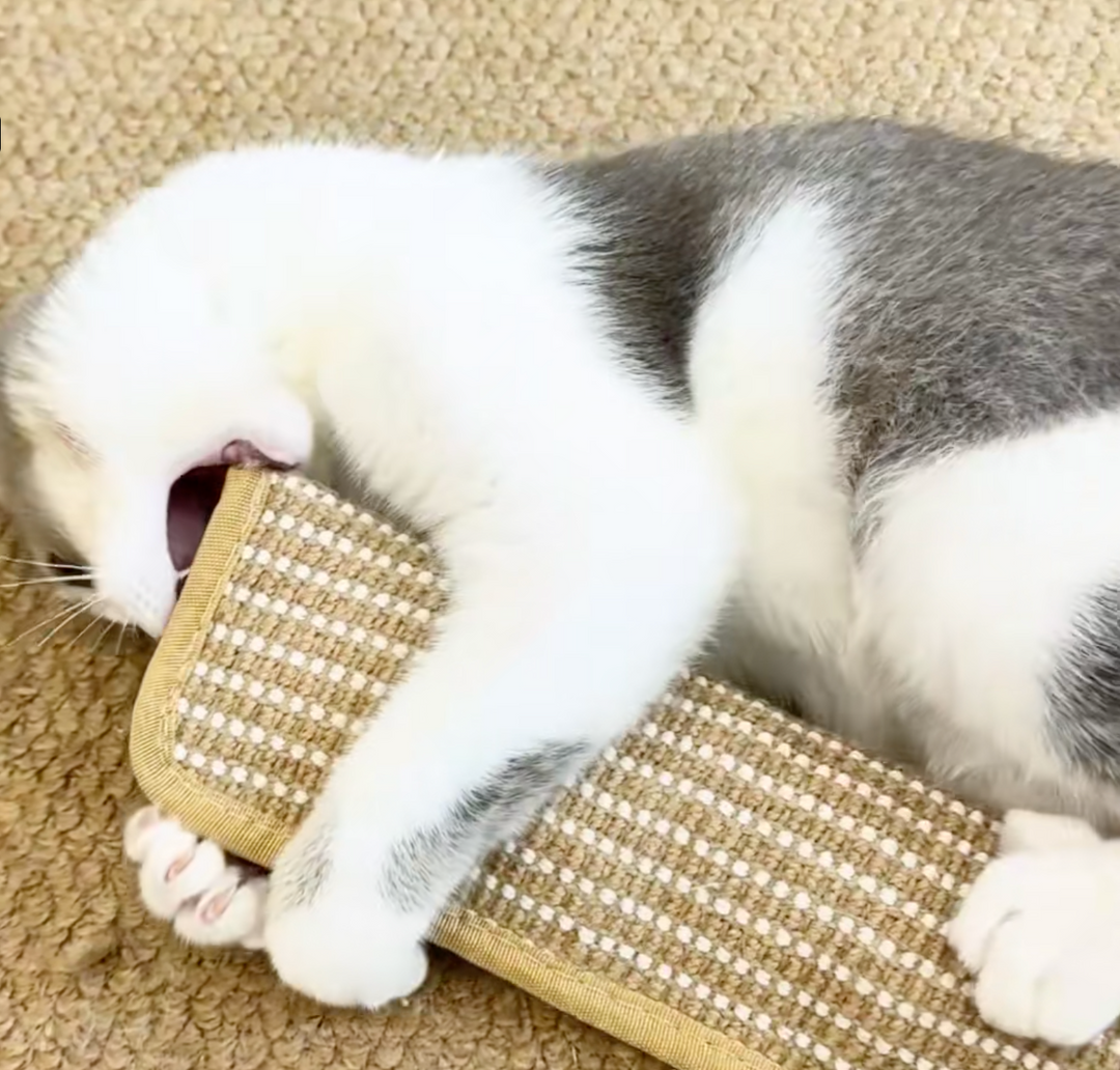 Krallex® — Unleash your cat's wild hunting frenzy for hours of play fun and healthy teeth | Bowlift