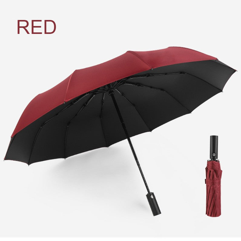 BowLift | 12-Rib Rain/UV Folding Umbrella, with Auto Open Close & Windproof Canopy, for Travel, Commute & More