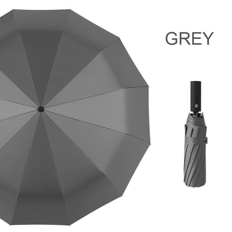 BowLift | 12-Rib Rain/UV Folding Umbrella, with Auto Open Close & Windproof Canopy, for Travel, Commute & More