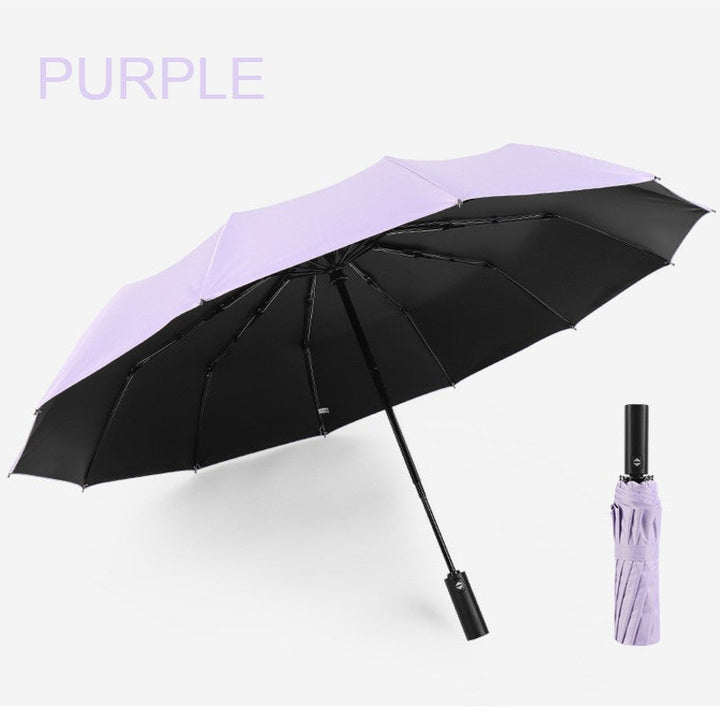 BowLift | 12-Rib Rain/UV Folding Umbrella, with Auto Open Close & Windproof Canopy, for Travel, Commute & More