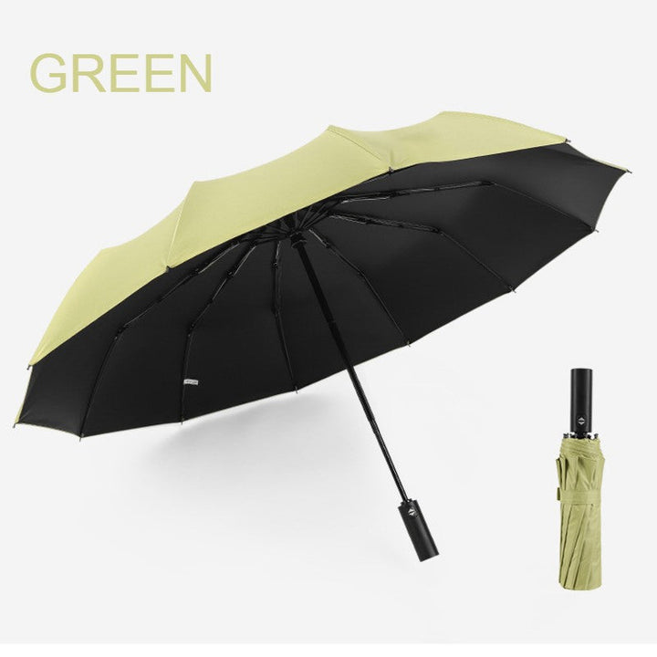 BowLift | 12-Rib Rain/UV Folding Umbrella, with Auto Open Close & Windproof Canopy, for Travel, Commute & More