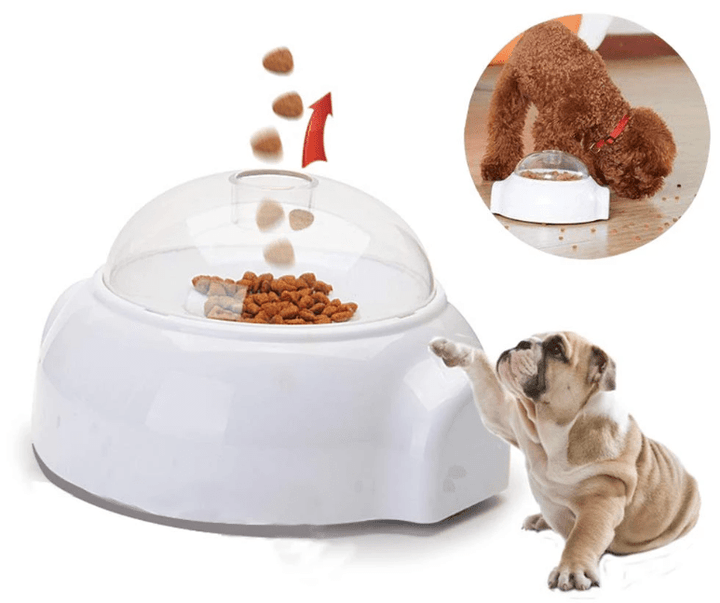 Creative Goodies Activity Toy for Dogs and Cats | Bowlift