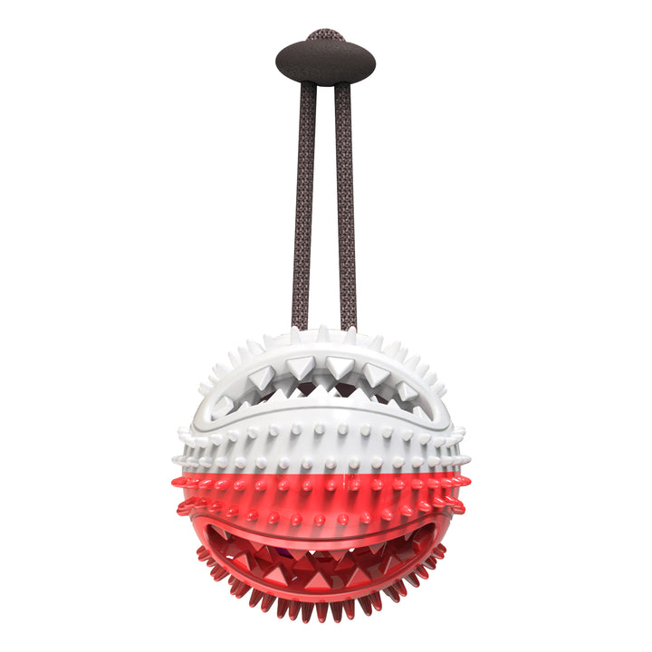 Round Food-Dispensing Puzzle Ball for Dogs