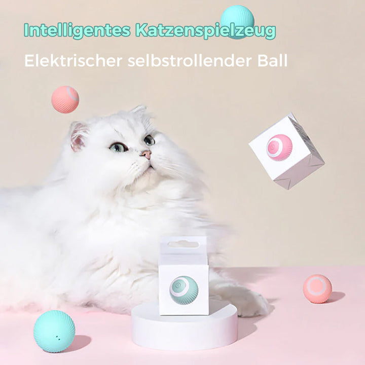 Intelligent Electric Self-Rolling Cat Toy Ball | Bowlift