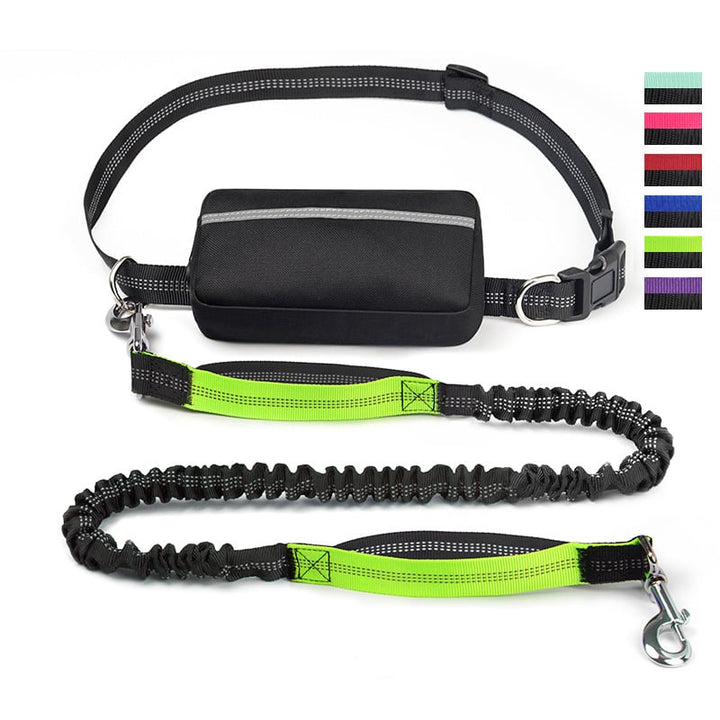FlowLeash — Experience gentle control and relaxed walks without jerks! | Bowlift