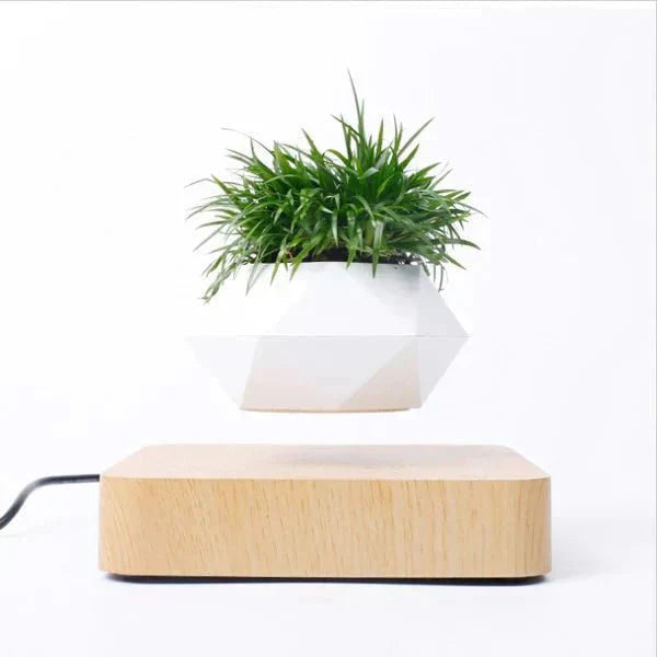 BowLift | Anti-gravity plants - Astonish your space - Nature reinvented