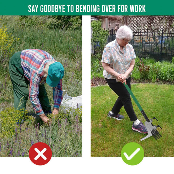 Ultimate Gardening Assistant Tool | Bowlift