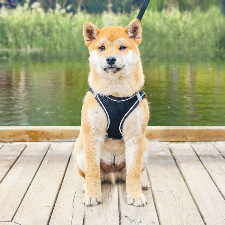 BowLift | Pet Chest Harness