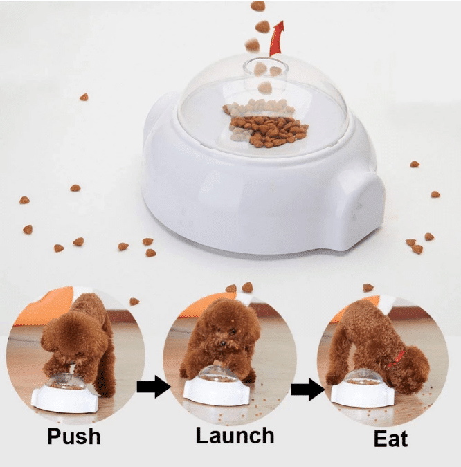 Creative Goodies Activity Toy for Dogs and Cats | Bowlift