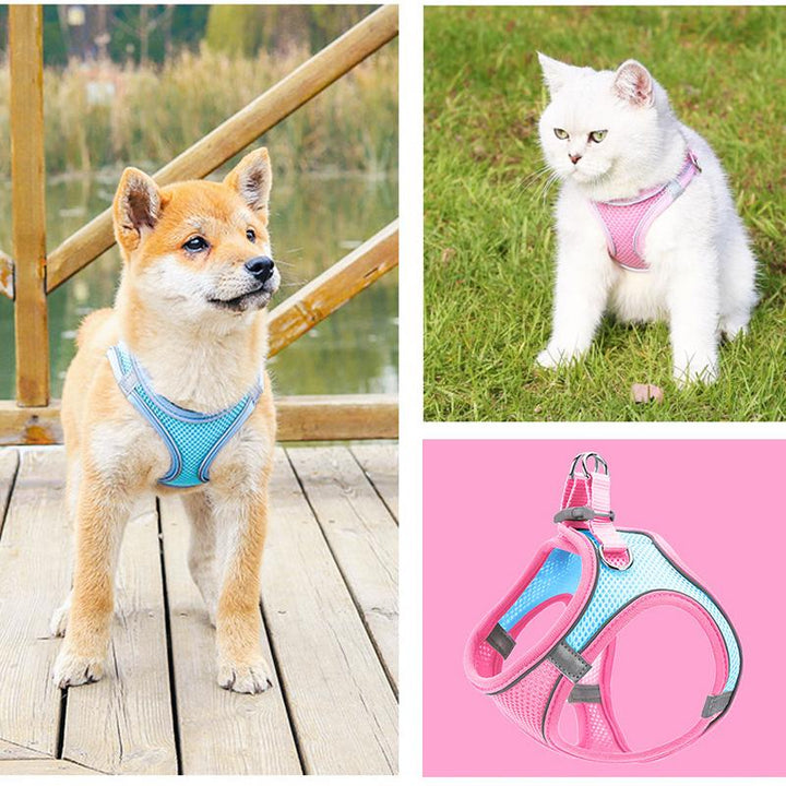 BowLift | Pet Chest Harness