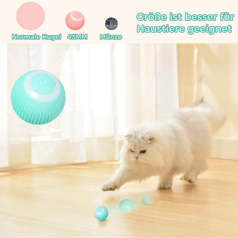 Intelligent Electric Self-Rolling Cat Toy Ball | Bowlift