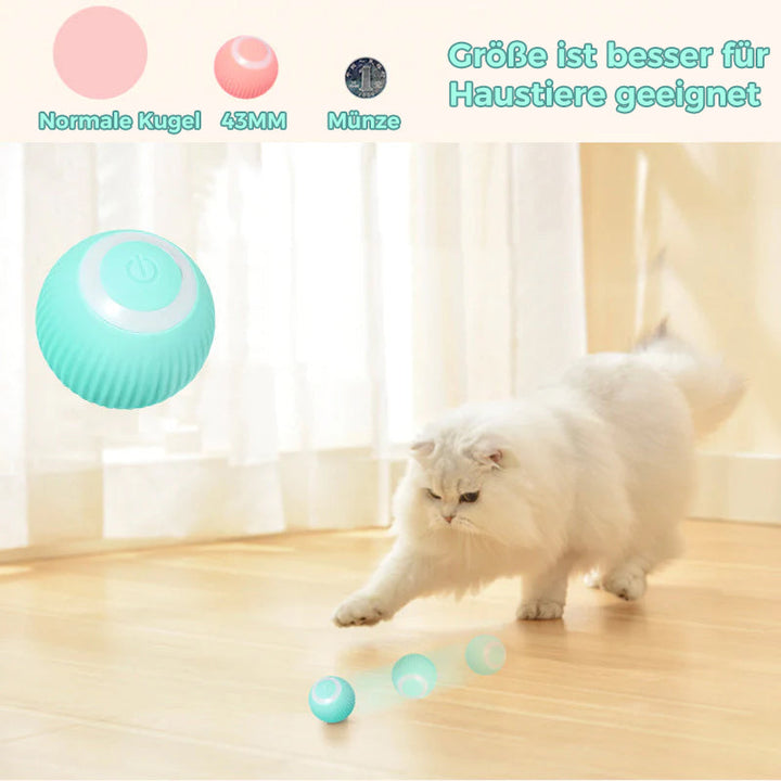 Intelligent Electric Self-Rolling Cat Toy Ball | Bowlift