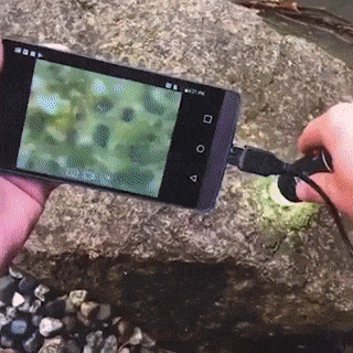 BowLift | UltraMax Digital Microscope Magnifier