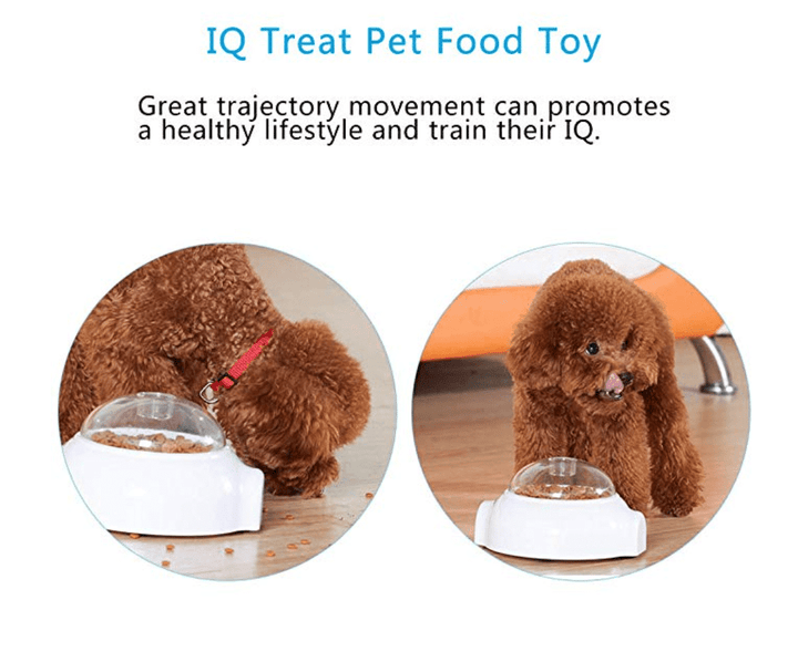 Creative Goodies Activity Toy for Dogs and Cats | Bowlift