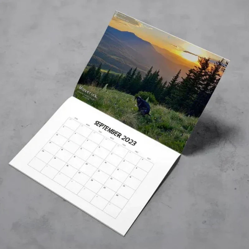 BowLift | Pooping Pooches Dog Calendar