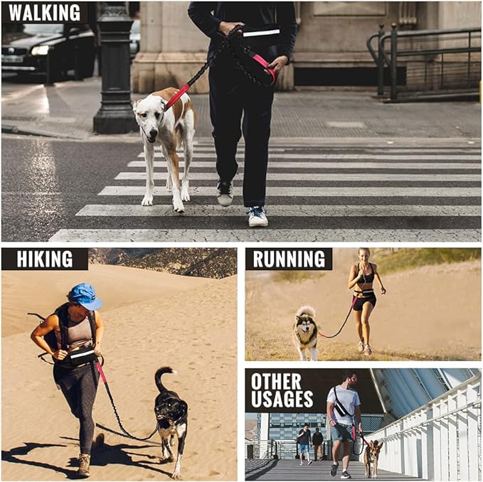 BowLift | PawsFree Pro – Enjoy stress-free walks with your dog