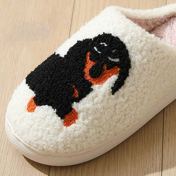 BowLift | PawSnooze – Cozy warmth and comfort that brings you joy