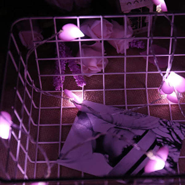 BowLift | Festive Decoration Love Fabric LED 10/20-Light String Light