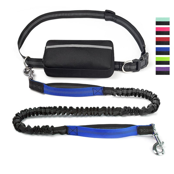 FlowLeash — Experience gentle control and relaxed walks without jerks! | Bowlift