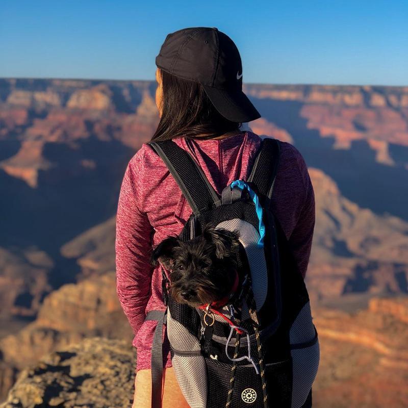 BowLift | Backpack For Dogs/Cats