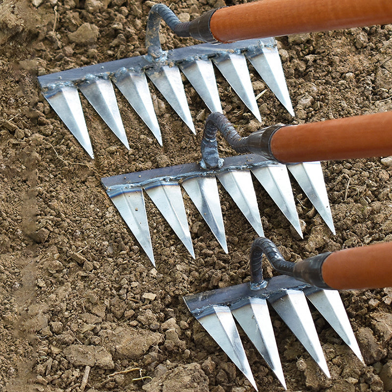 Multifunctional garden weed grabber | Bowlift