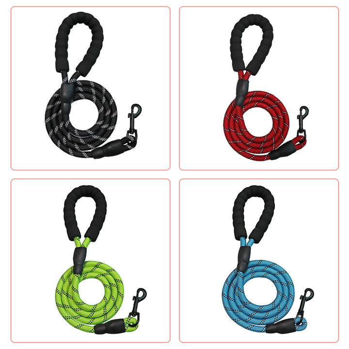 3-in-1 Pet Walking Kit | Bowlift