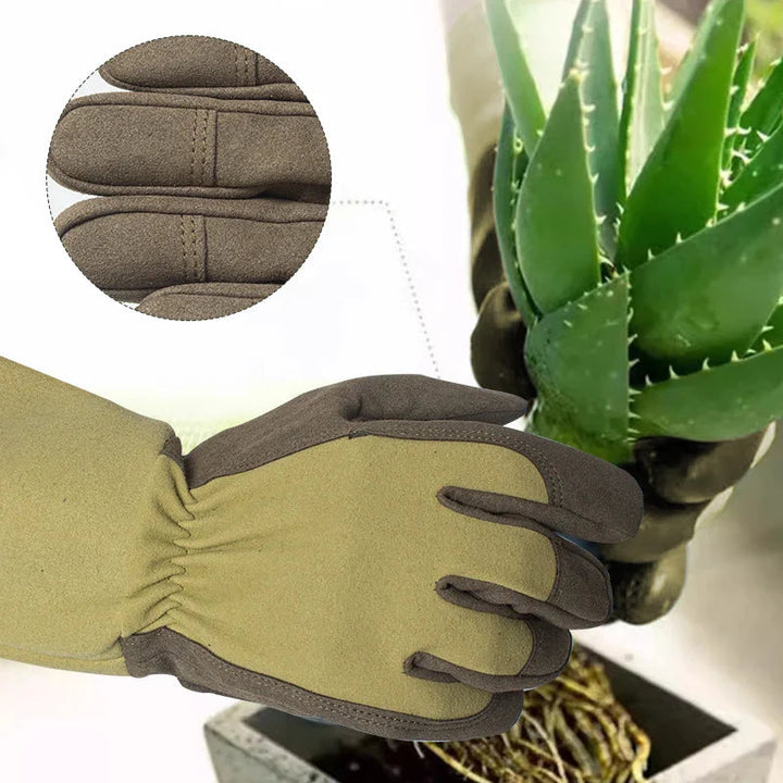 ThornGuard — Protect your hands to love every rose painlessly | Bowlift