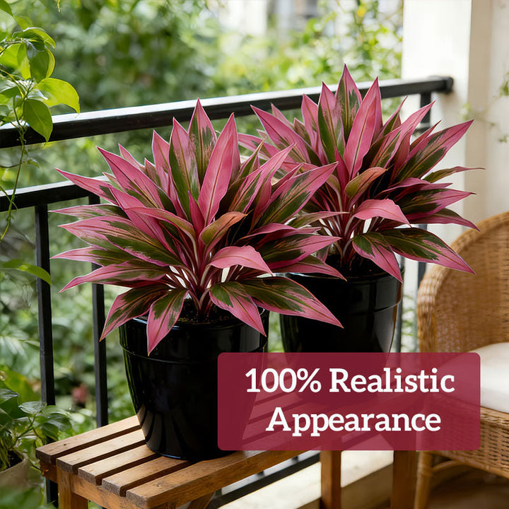 VerdoGlow — Vibrant freshness without effort that will transform your home forever | Bowlift