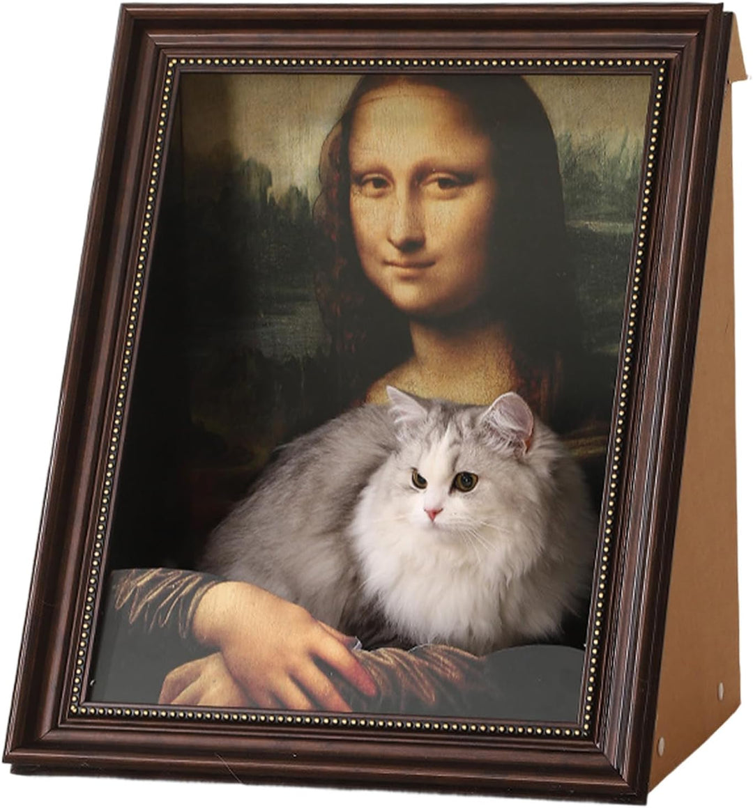 BowLift | CatCanvas Comfort Meets Playtime