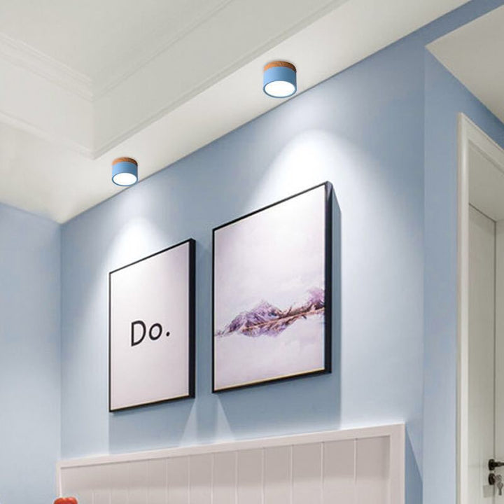 Morandi Style Modern LED Ceiling Lamp - LumiModo | Bowlift