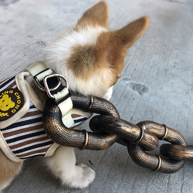 BowLift | Funny Dog Leash