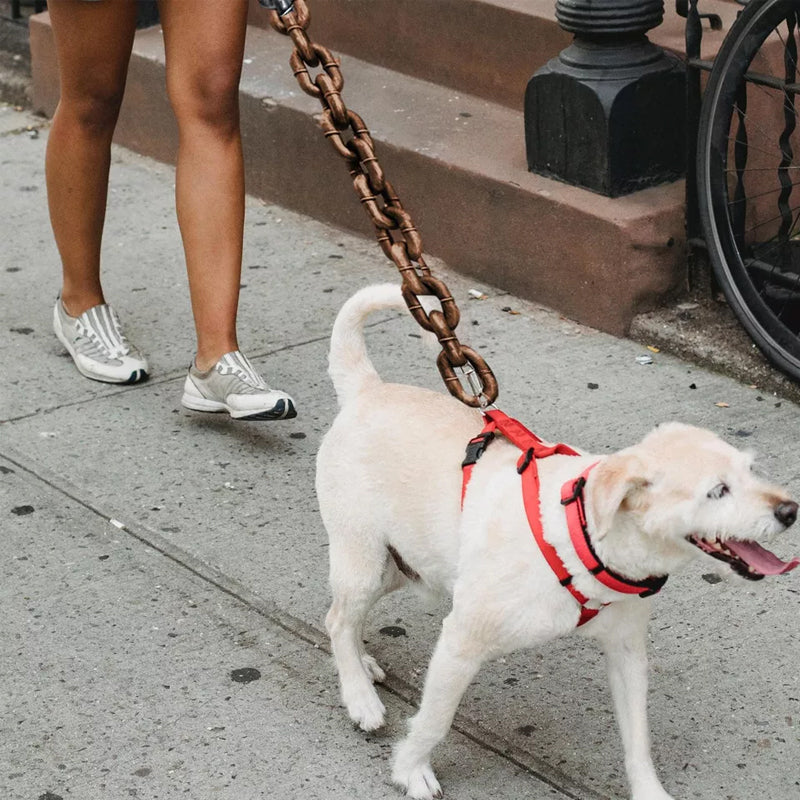 BowLift | Funny Dog Leash