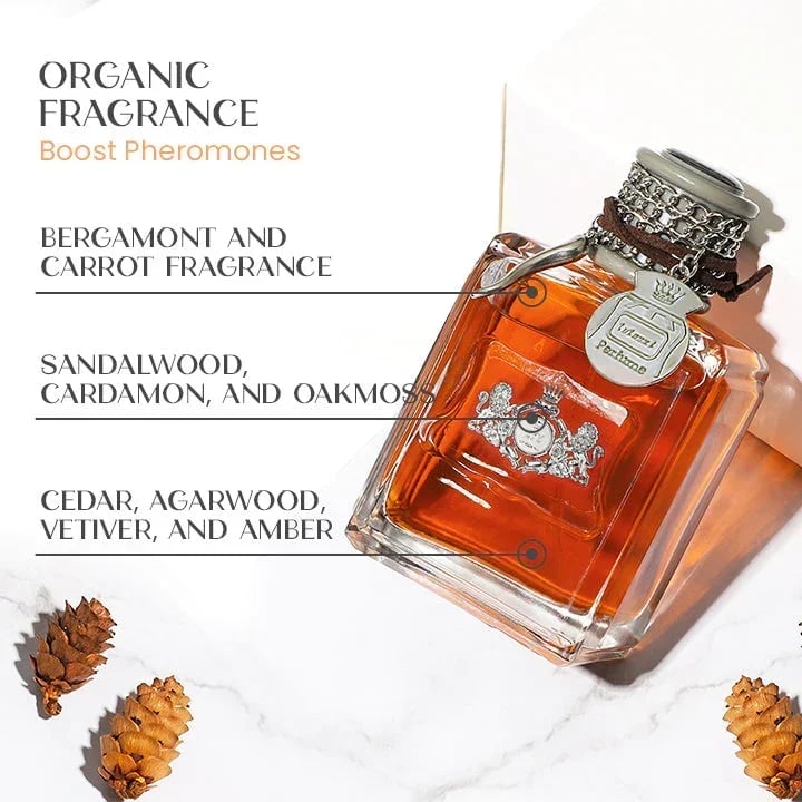 BowLift | Alpha-Men Feromone Perfume