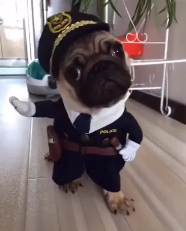BowLift | FrightPet Creepy Cuteness Unleashed