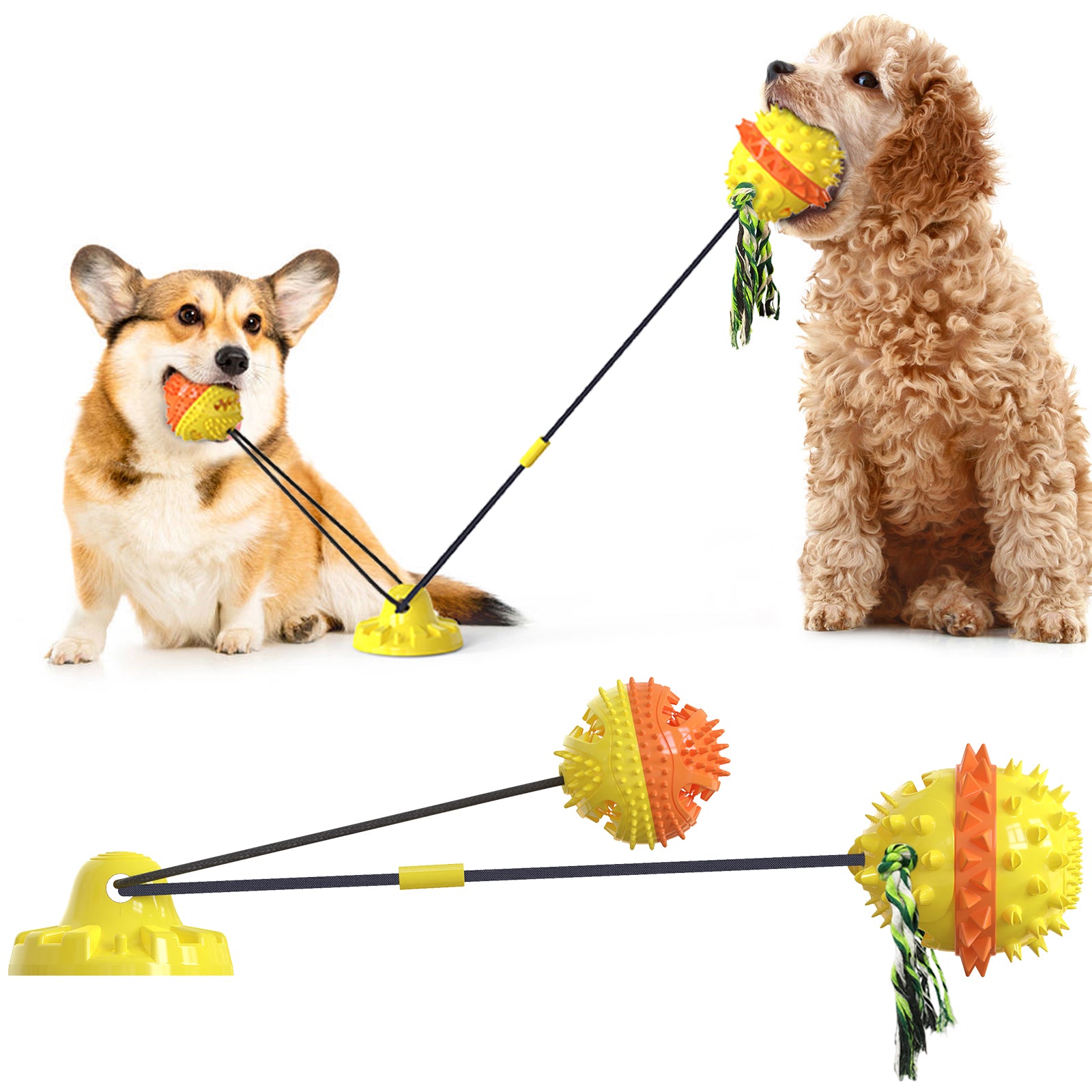 Enhanced Suction Cup Rope Ball Type B – Double Ball Chew Toy for Dogs