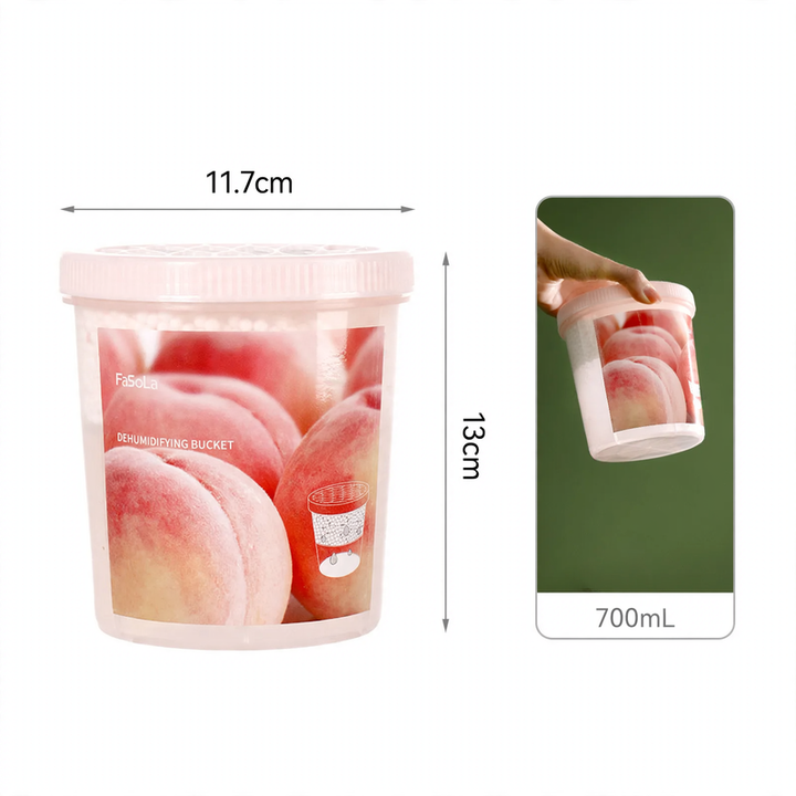 Dehumidifier box for indoor use