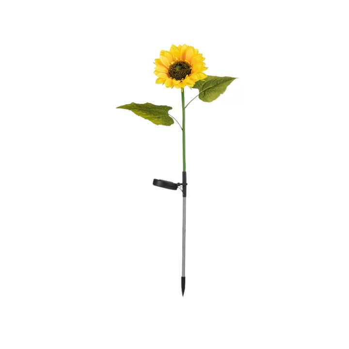 BowLift | SunGlow