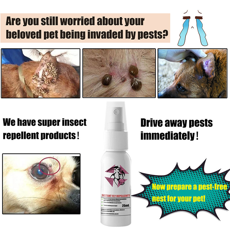 BowLift | Instant Equine Insect Repellent