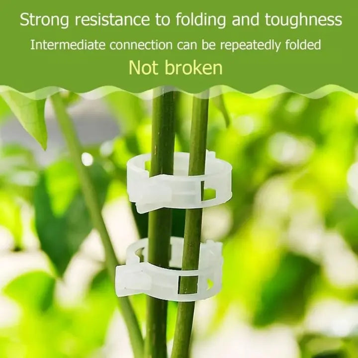 BowLift | 100 pcs. Plant support clips | Perfect hold for healthy plants
