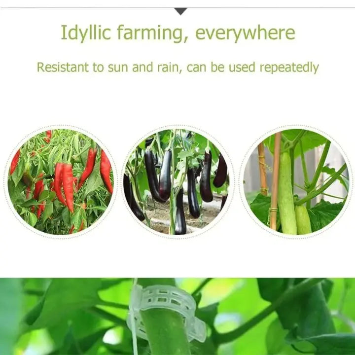 BowLift | 100 pcs. Plant support clips | Perfect hold for healthy plants
