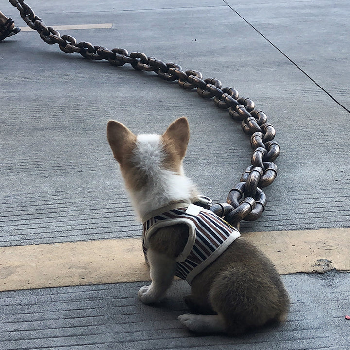 ChainWalk Leash Bowlift