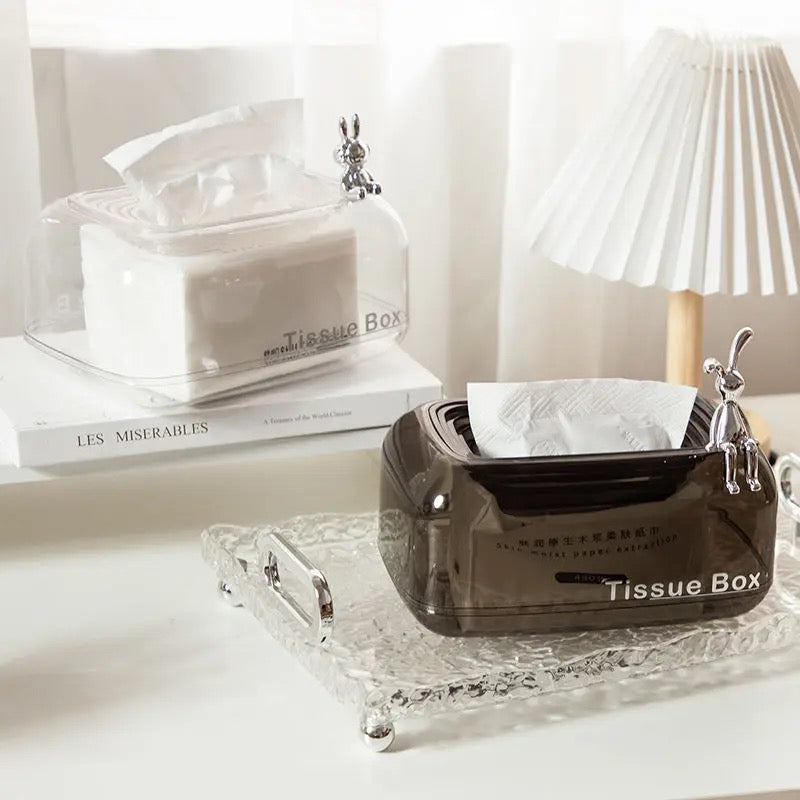 Acrylic Tissue Box Bowlift