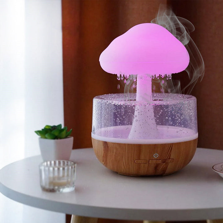Rain Cloud Humidifier Bowlift