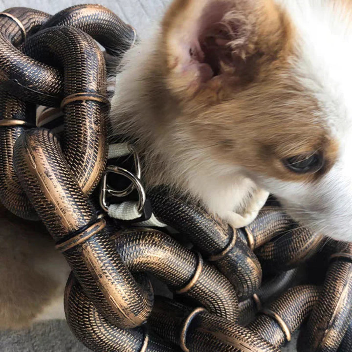 BowLift | Funny Large Dog Collar