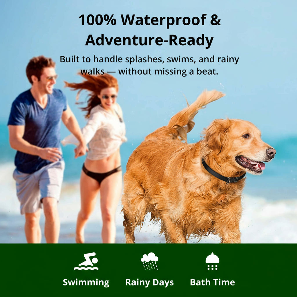 BowLift | 1000m Waterproof Dog Training Collar | Rechargeable, Remote Control & Adjustable for Small, Medium, and Large Dogs